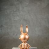 Space Bronze
