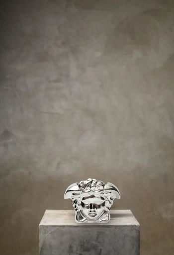 Medusa Head Vase (Silver Small Size)