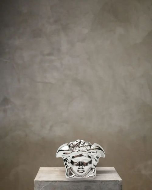 Medusa Head Vase (Silver Small Size)