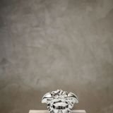 Medusa head vase