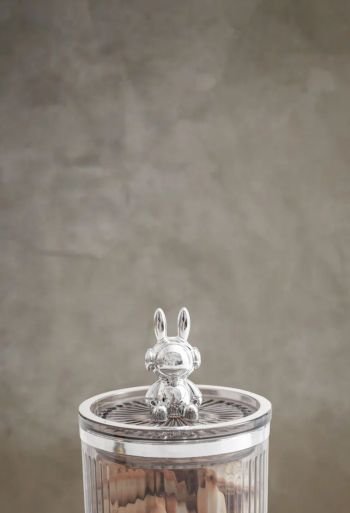 Space Bunny Container