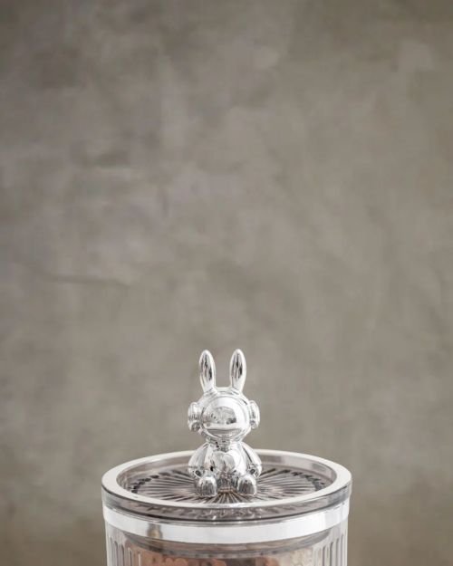 Space Bunny Container